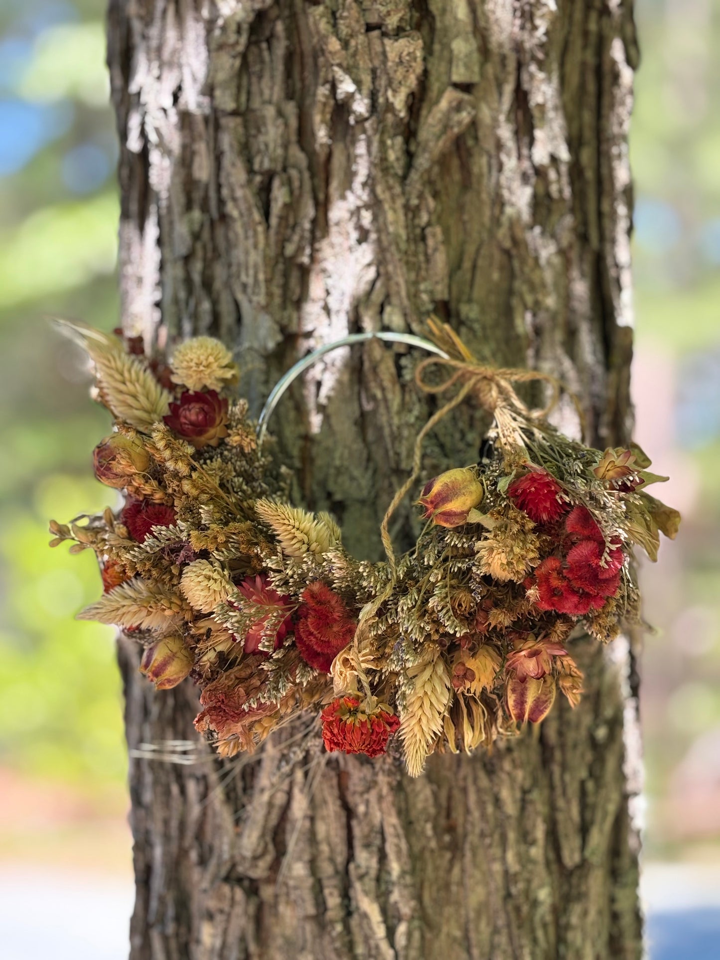 Dried Floral Ring - 5"