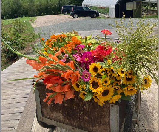 2026 Fall 8-week Subscription