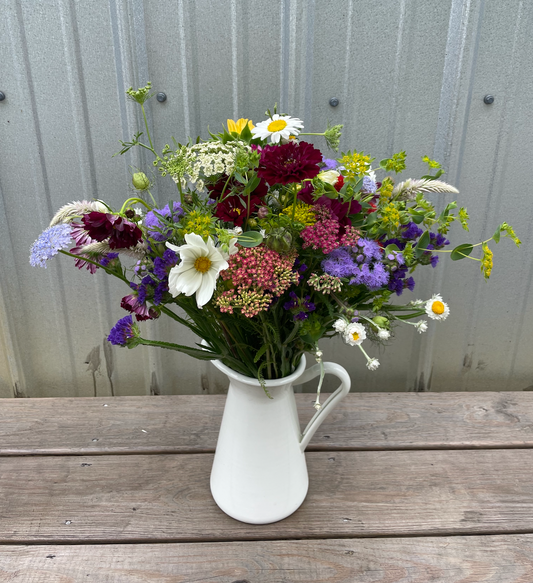 2026 Summer 8-week Subscription